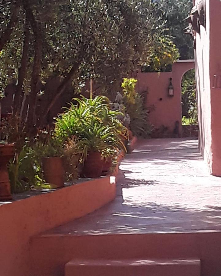 Auberge Le Mouflon Ouirgane Εξωτερικό φωτογραφία