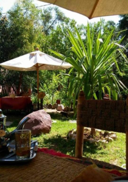 Auberge Le Mouflon Ouirgane Εξωτερικό φωτογραφία