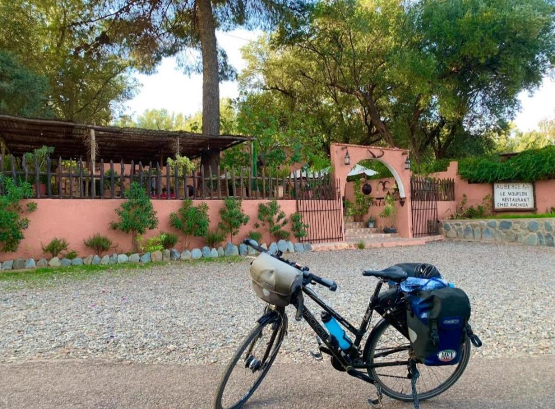 Auberge Le Mouflon Ouirgane Εξωτερικό φωτογραφία