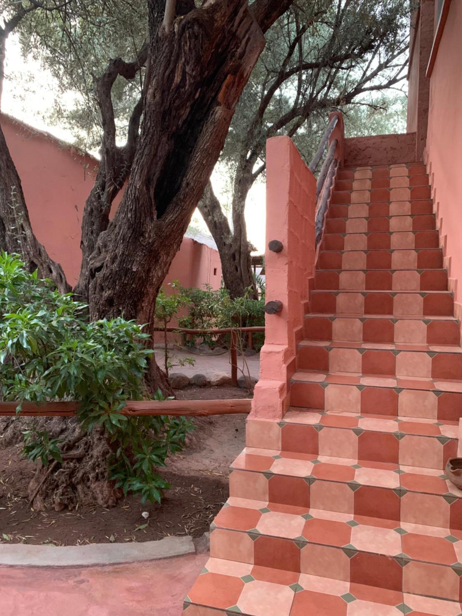 Auberge Le Mouflon Ouirgane Εξωτερικό φωτογραφία